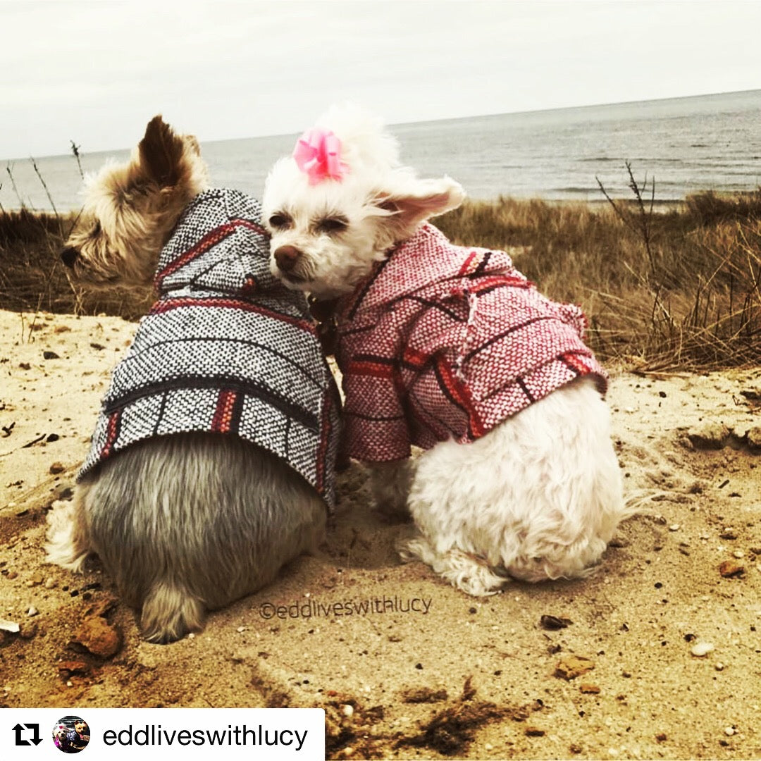 Street style Dog Hoodie