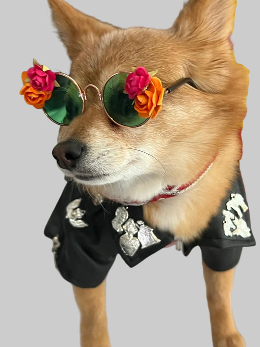 Heart-Patch Pleather Dog Jacket!