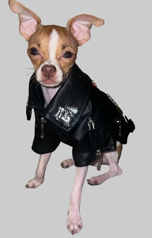 Heart-Patch Pleather Dog Jacket!