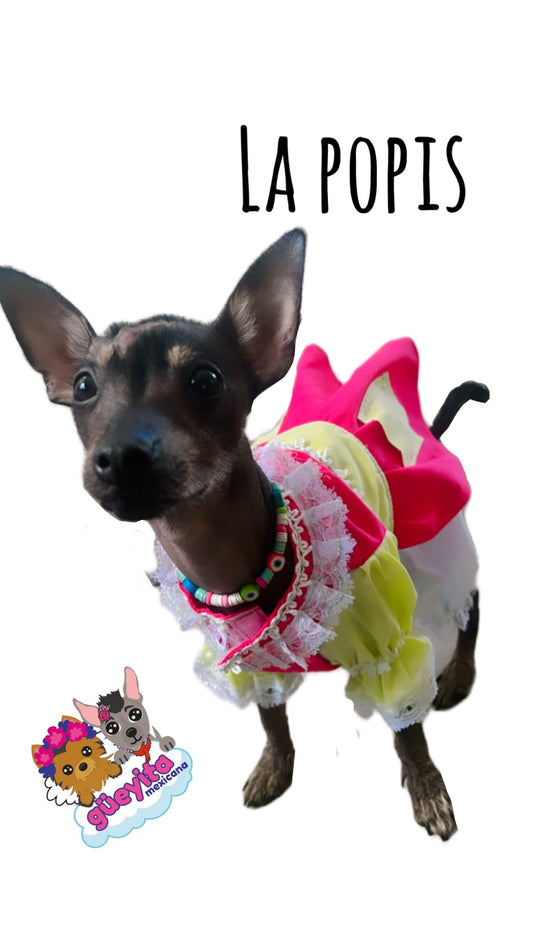 La Popis Dog Costume