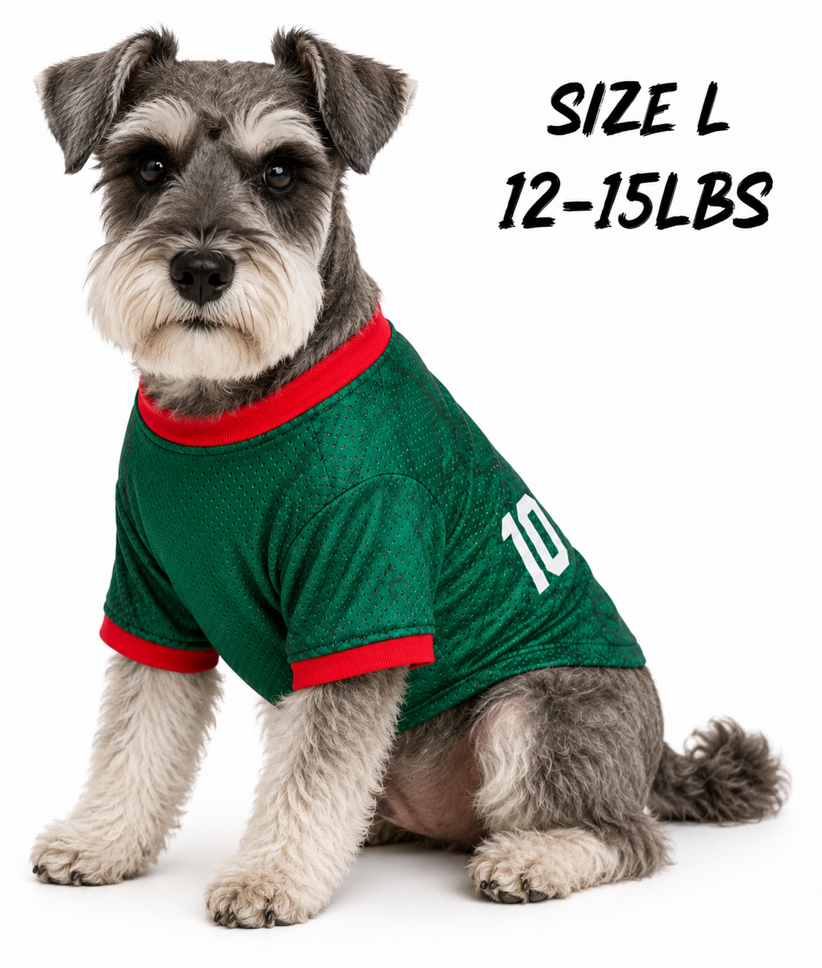 Mexican Team Dog jersey