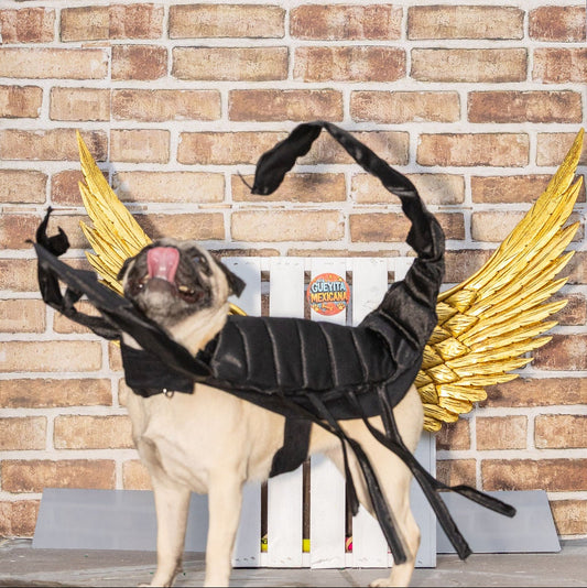 Scorpion dog costume