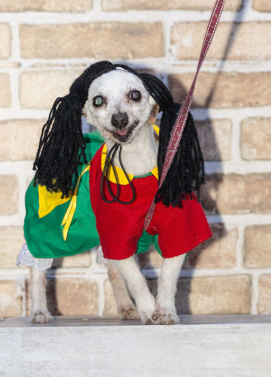 La Chilindrina Dog Costume