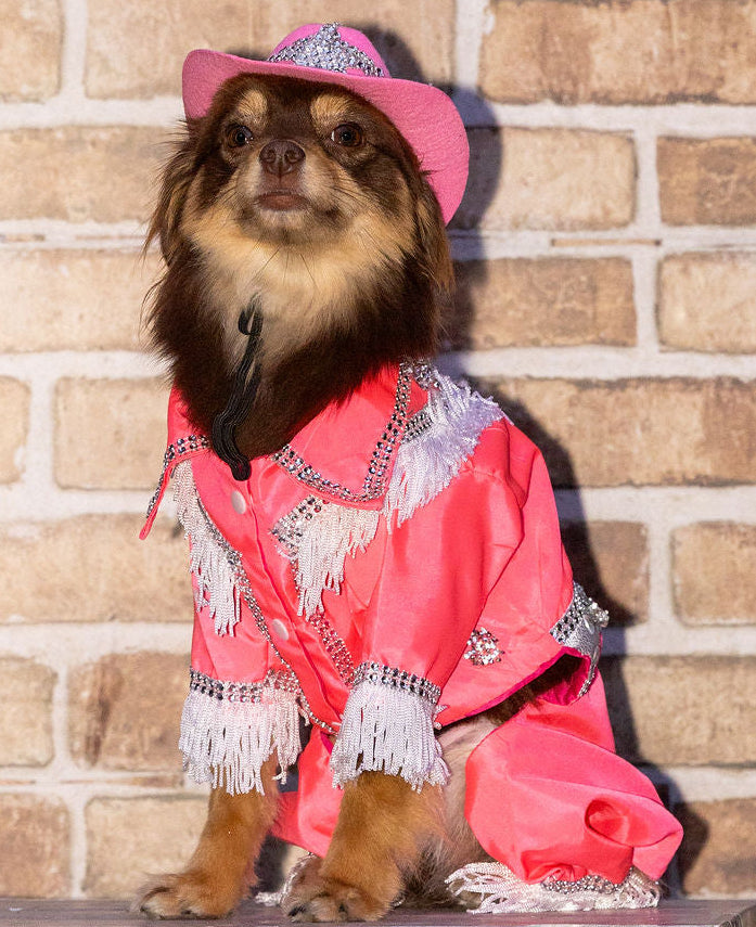 Rodeo outfit for dogs- Barkie dog costume- Cow girl dog costume