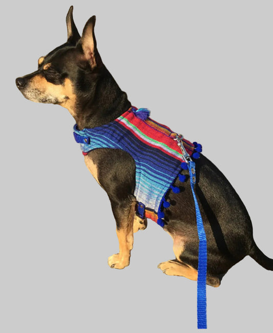Serape-Style Dog Harness: Adorable Comfort in Blue!
