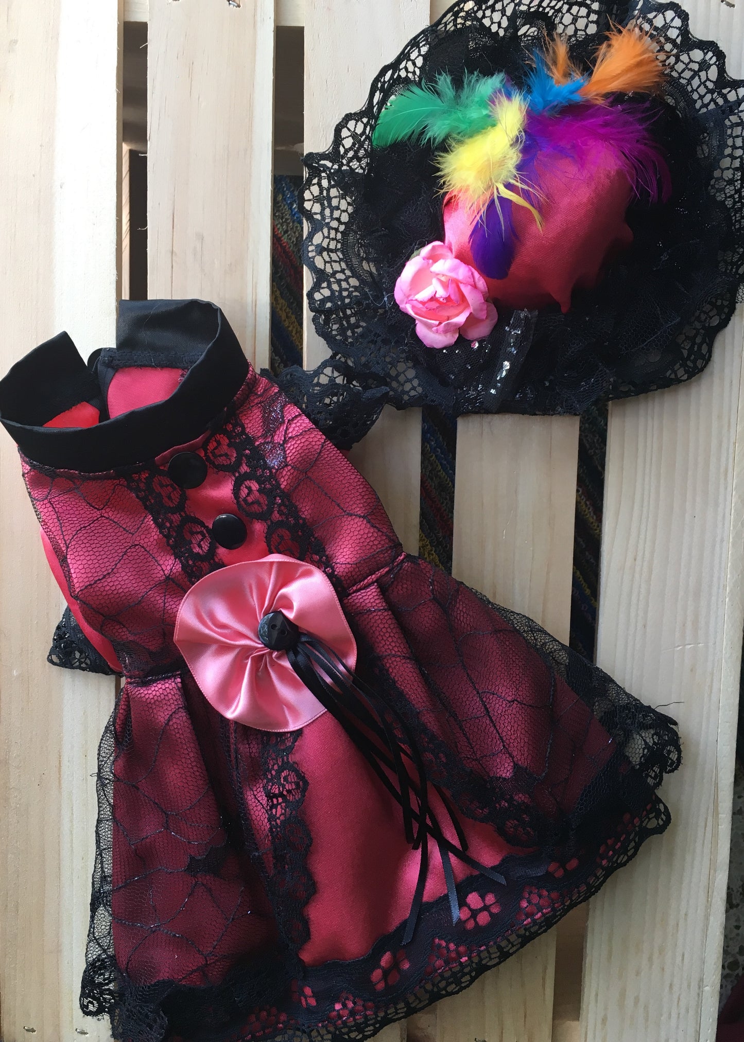 Classic Catrina dog costume