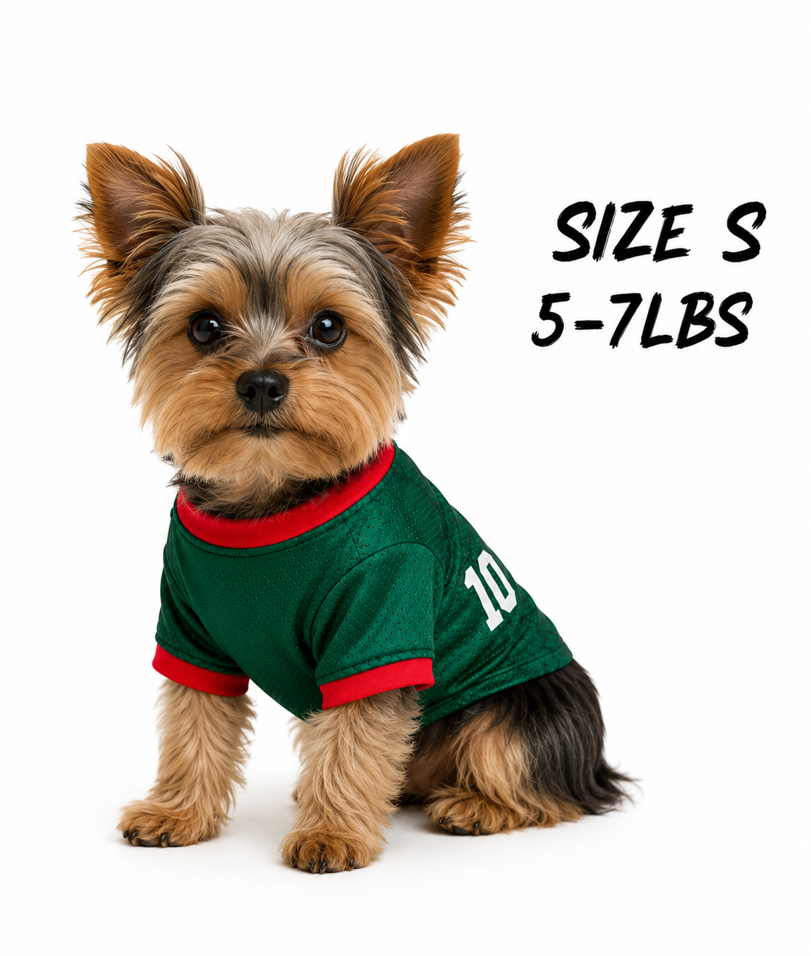 Mexican Team Dog jersey