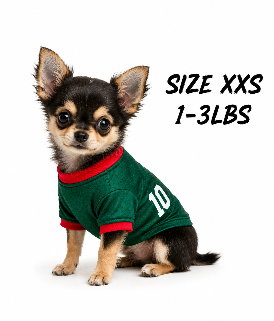 Mexican Team Dog jersey