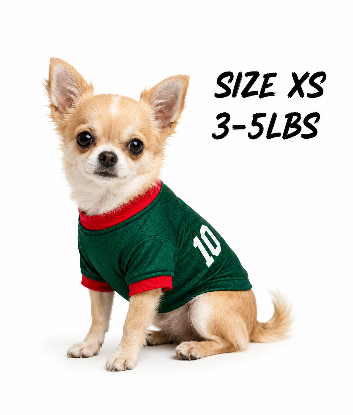 Mexican Team Dog jersey