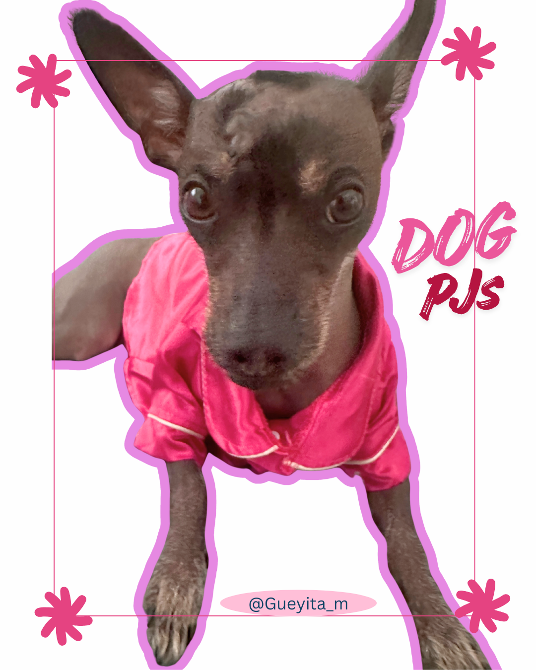 Pink silky PJ's for female dogs