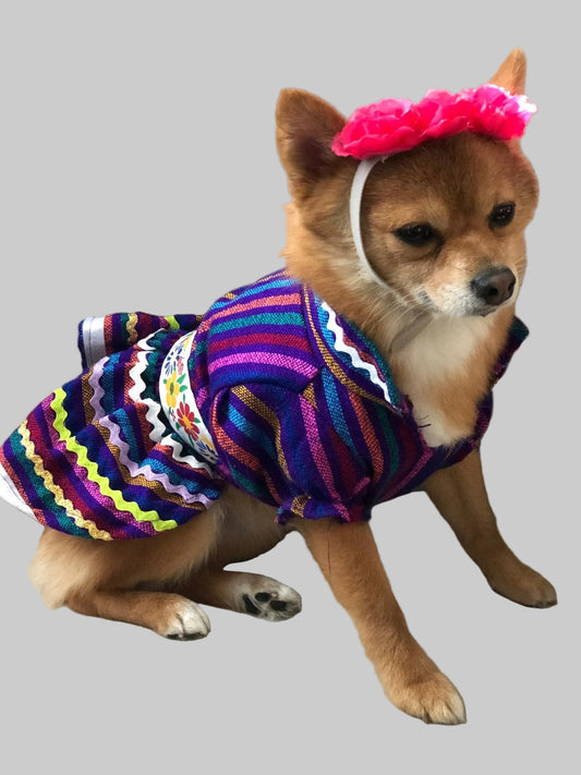 Day of the Dead Dog girl dresss - GueyitaMexicana