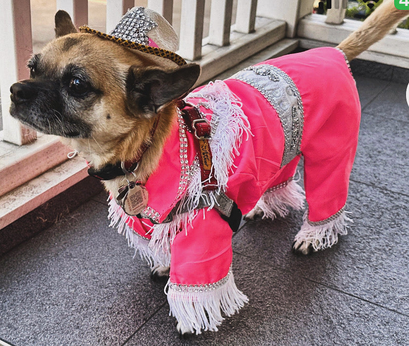 Rodeo outfit for dogs- Barkie dog costume- Cow girl dog costume