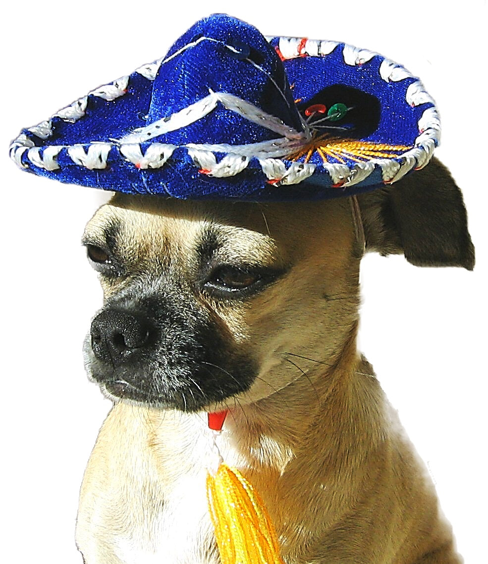 Mexican sombreritos for dogs