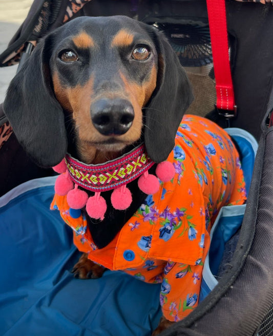 Blooming Spring Dog Shirts: Handmade Floral Elegance