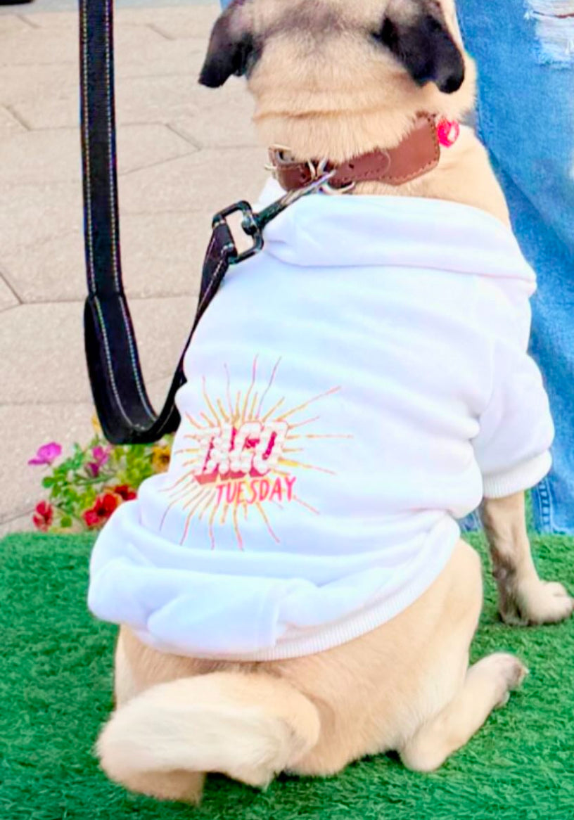 Taco Tuesday dog tee / sweatshirt