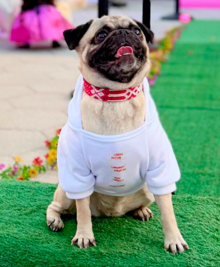 Taco Tuesday dog tee / sweatshirt