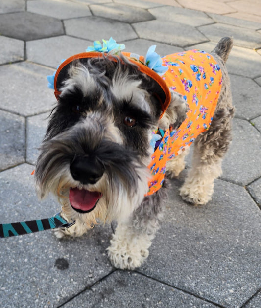 Blooming Spring Dog Shirts: Handmade Floral Elegance