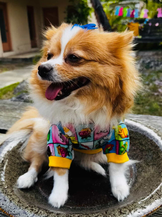 Loteria Mexicana Dog Shirt: Celebrate Culture in Style
