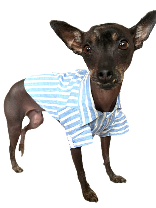 Long weekend shirts and dresses