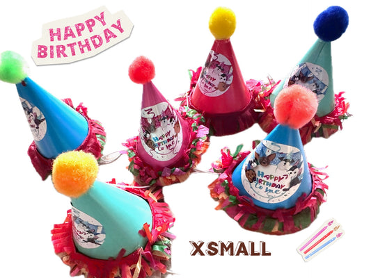 Happy Birthday hats for dogs