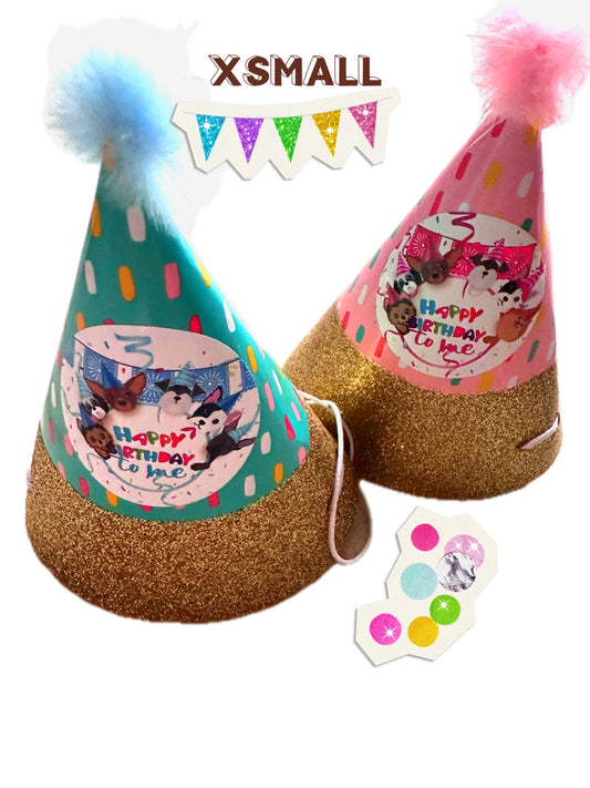 Happy Birthday hats for dogs