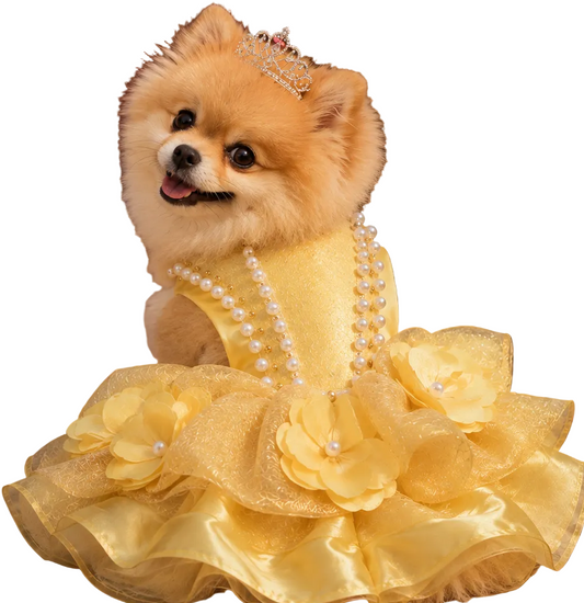 Elegant Quinceañera Dog Dress: Handmade Glamour