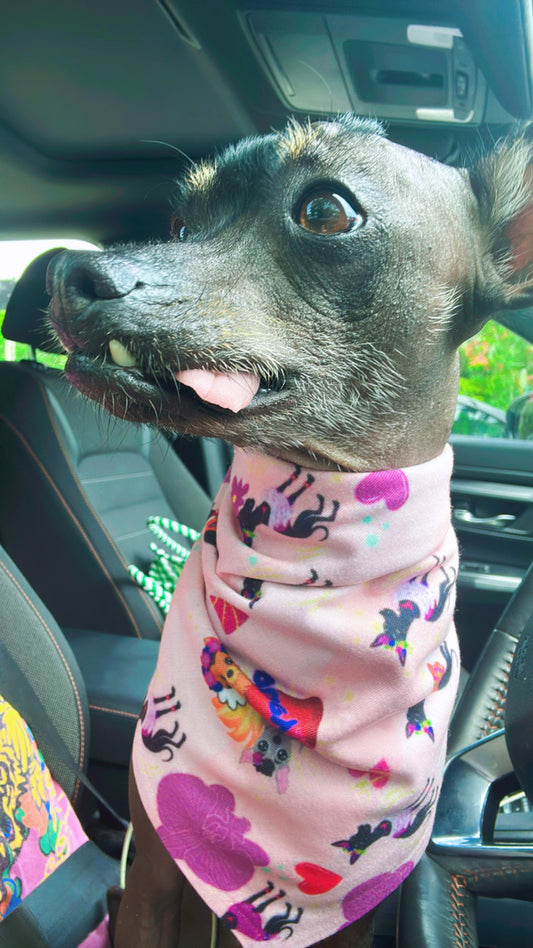 Dog Scarf/ Bandana