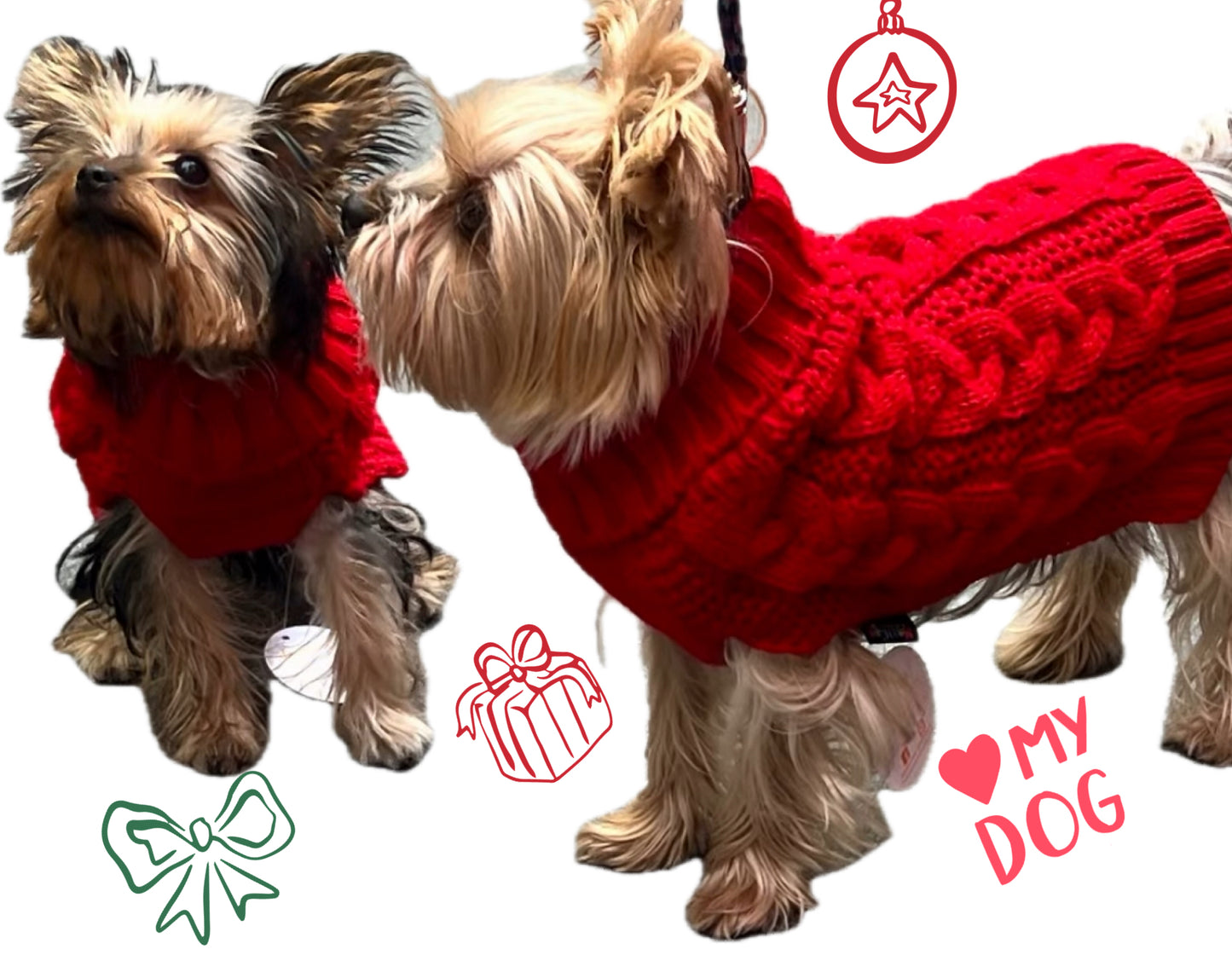 Make your own Ugly Sweater Activity for Your Pup, all in a Box!
