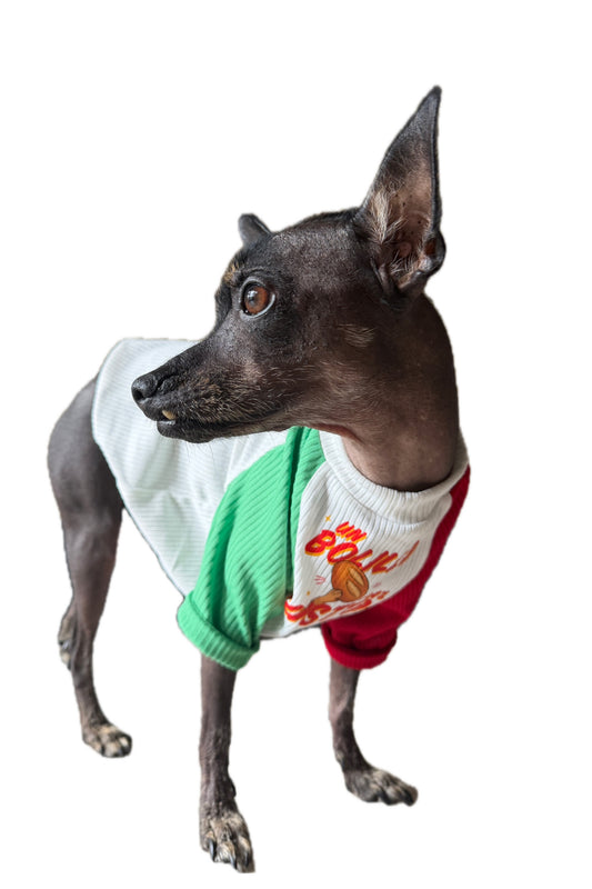 Mexican Dog T-Shirt: Un bolillo para el susto