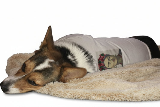 Mexican inspired Dog T-Shirts!