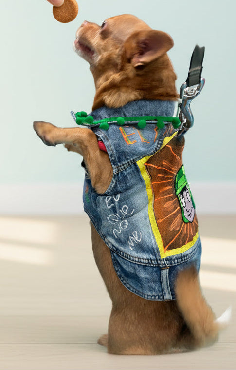 El Chavo del Ocho Dog Vest: A Touch of Nostalgia!