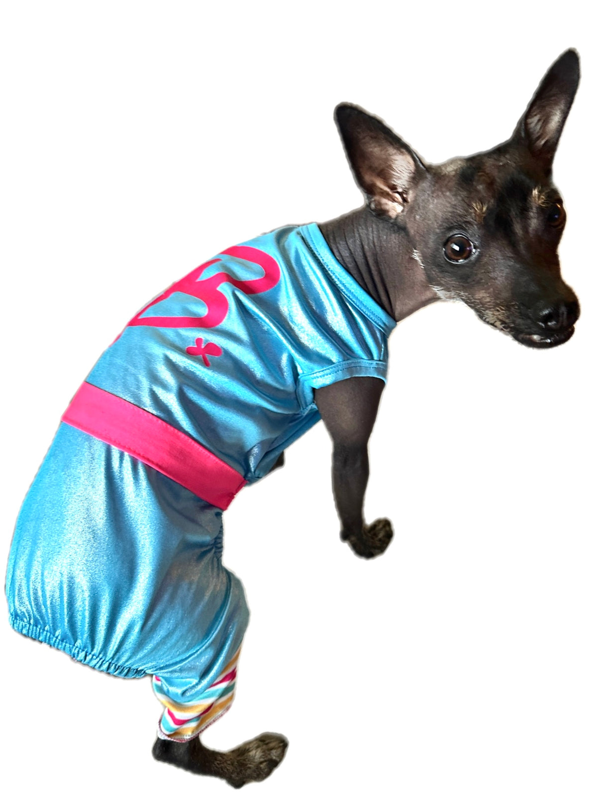Barkie dog leotard