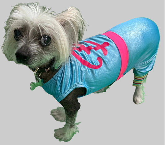 Barkie dog leotard