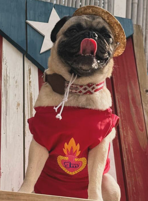 Handcrafted Elegance: Artisanal Dog Collars for Your Stylish Pup-SIZE M