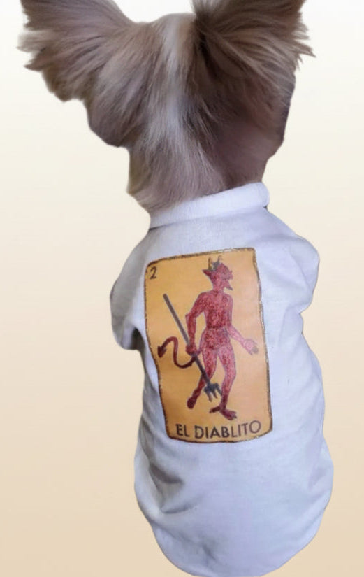 Mexican inspired Dog T-Shirts!