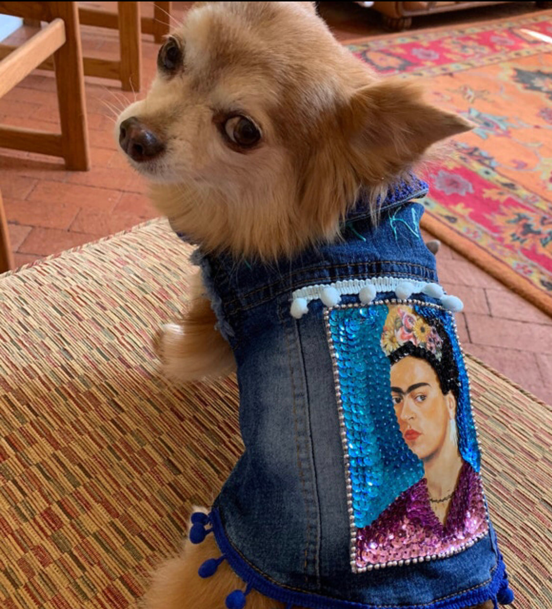 Frida Kahlo-Inspired Denim Dog Jacket: A Unique Blend of Art and Style