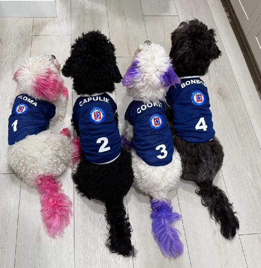 Cruz Azul: Adorable T-Shirts for Your Furry Soccer Fan