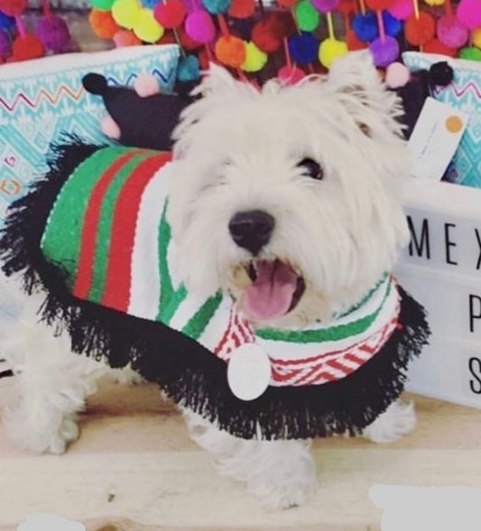 Joronguito Mexican Dog Coat: Cozy & Colorful Comfort!