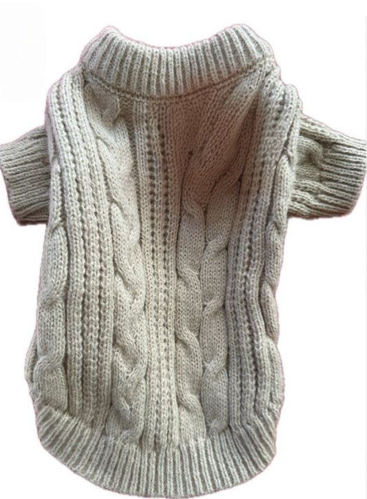 Ugly Sweater activity for your Pup