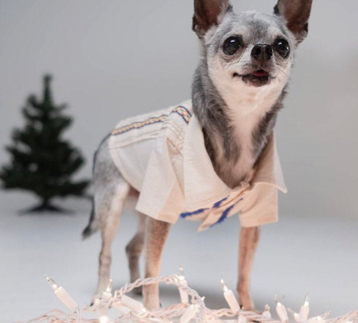 Charming Elegance: The Heartfelt Mexican Beige Guayabera for Dog