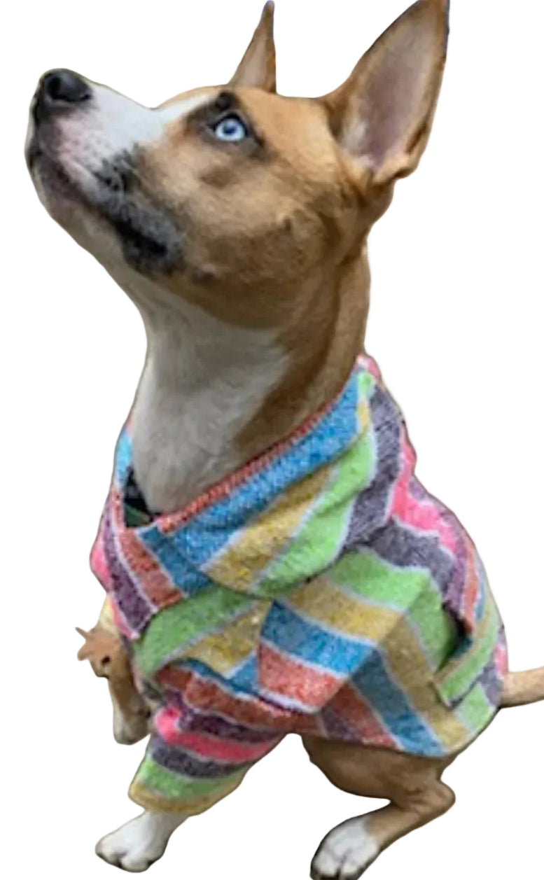 Mexican Dog Hoodie