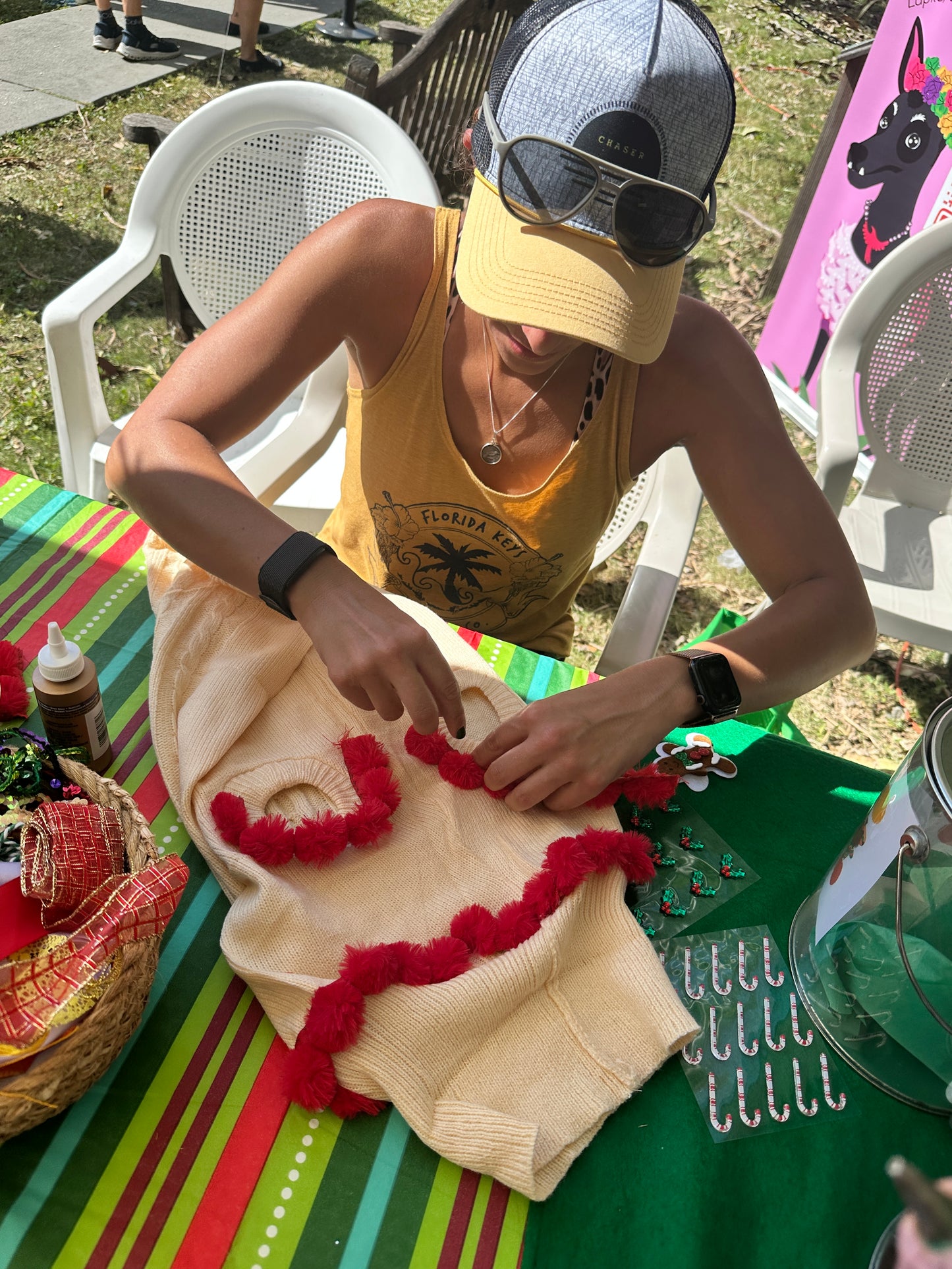 Make your own Ugly Sweater Activity for Your Pup, all in a Box!