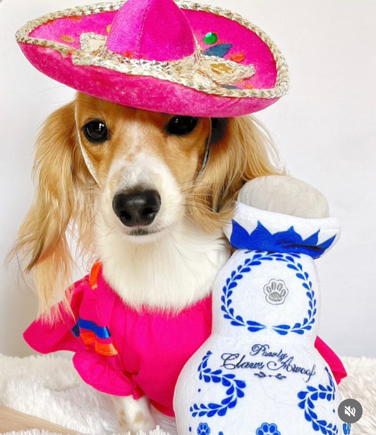 Colorful Mexican Dog Girl Dress: Ideal for Parties and Cinco de Mayo