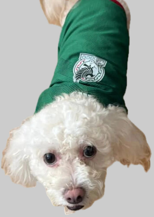 Cheer for Mexico: Adorable T-Shirts for Your Furry National Team Fan