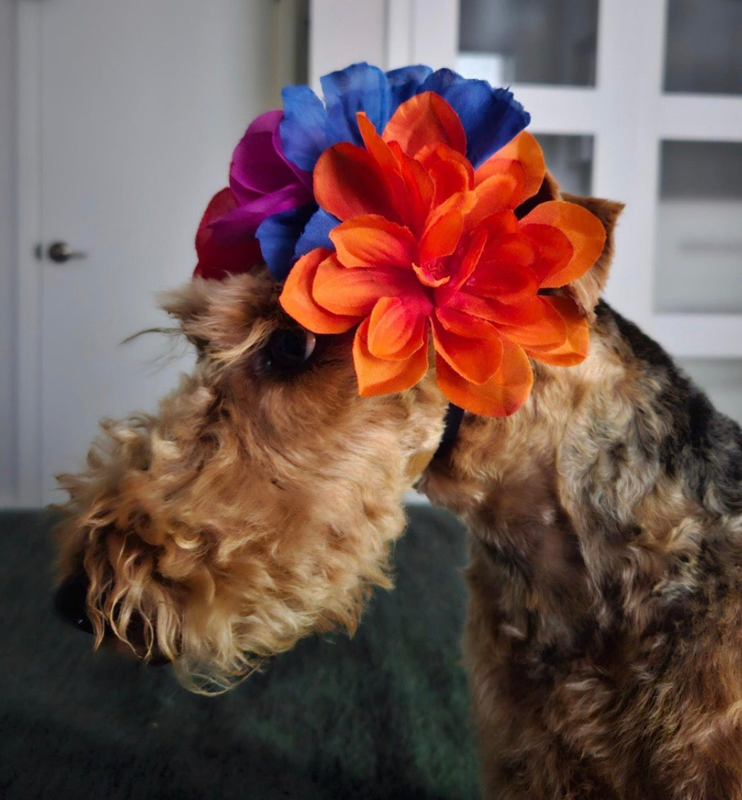 Charming Floral Dog Headbands: Adorable Accessories for Every Pup!
