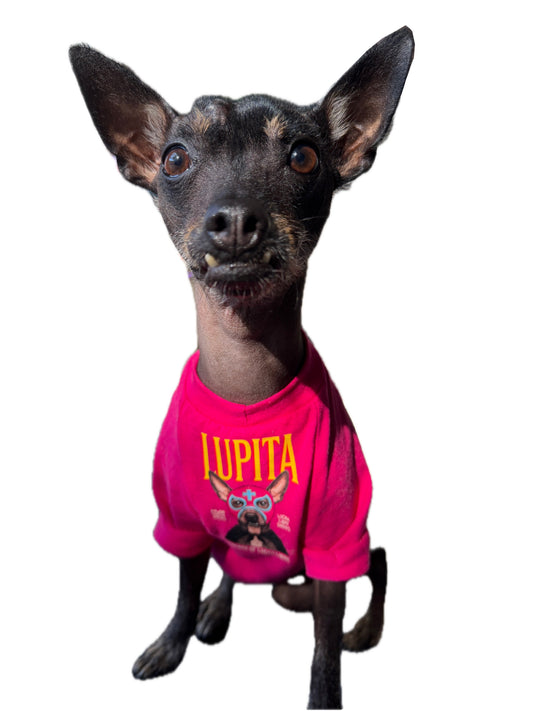 Lucha Libre Dog T-Shirt: Let Your Pup Be the Star of the Ring! -Preorder