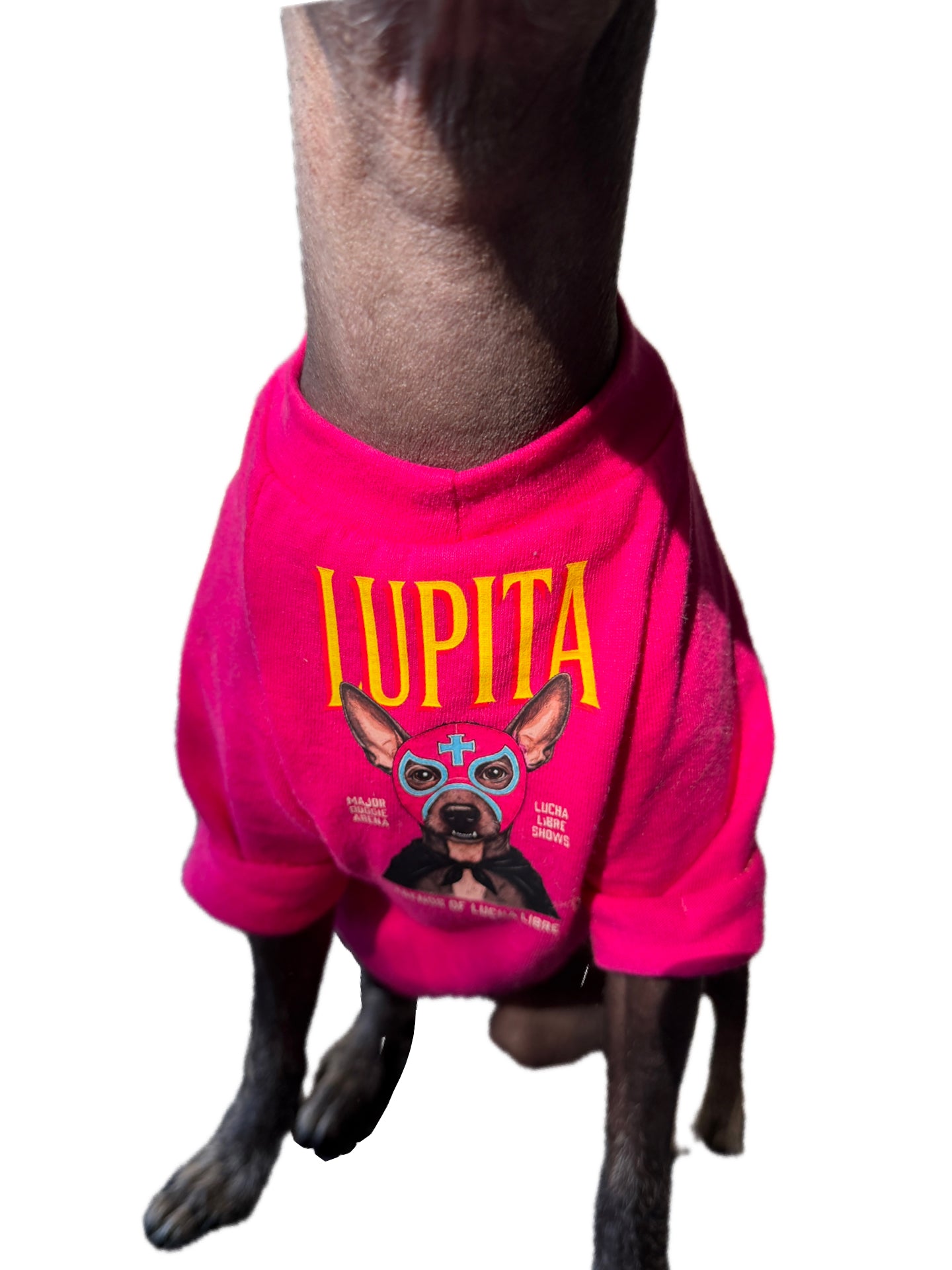 Lucha Libre Dog T-Shirt: Let Your Pup Be the Star of the Ring! -Preorder