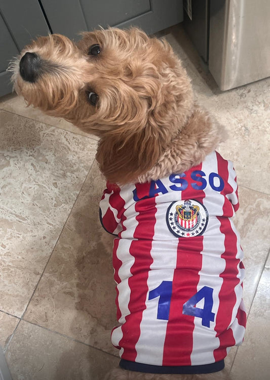 Chivas Team -Soccer dog Jersey