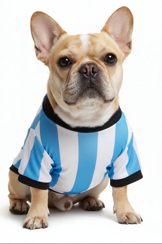 NEW- Argentina Team dog jersey- PRE ORDER