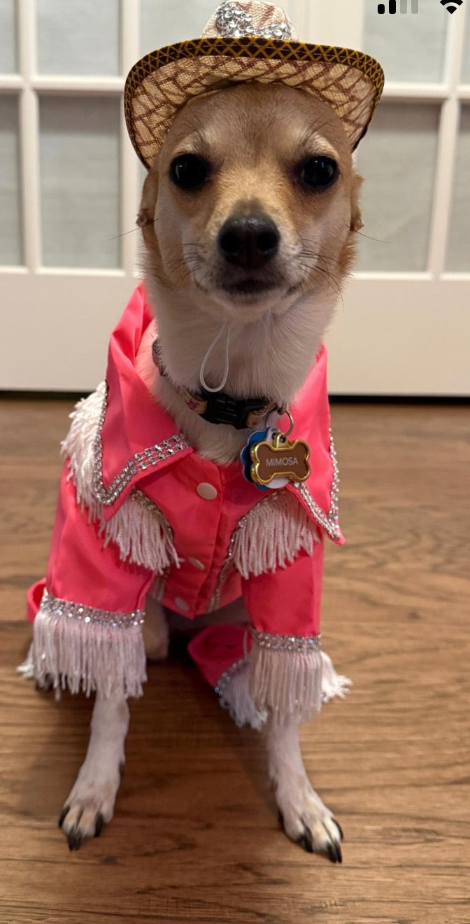 Rodeo outfit for dogs- Barkie dog costume